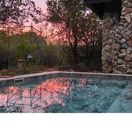 Lion King Villa Marloth Park Buitenkant foto
