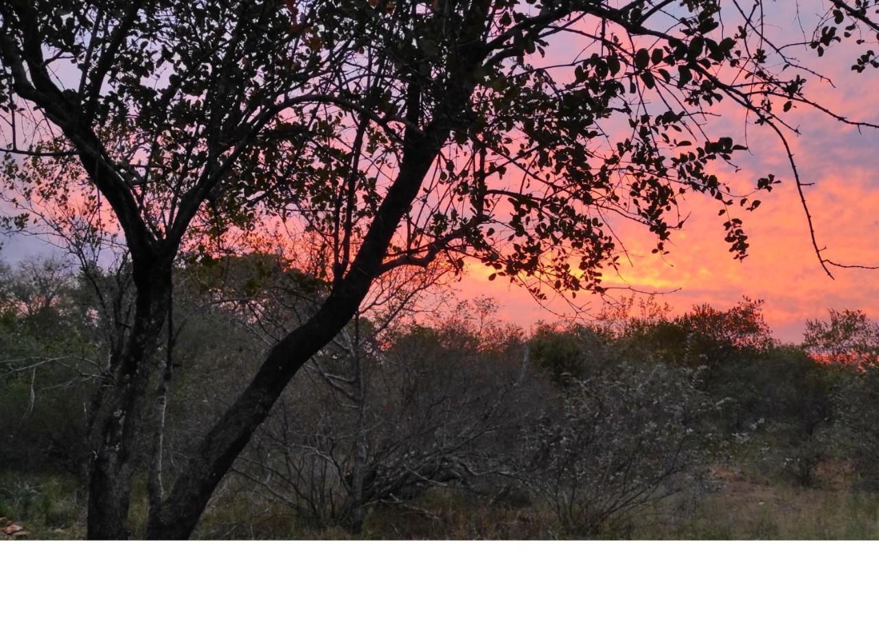 Lion King Villa Marloth Park Buitenkant foto