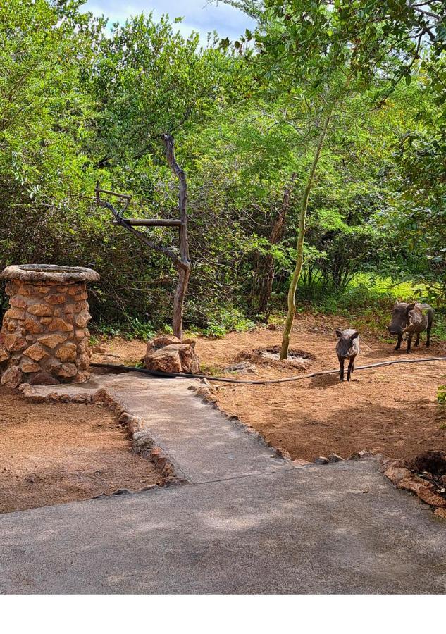 Lion King Villa Marloth Park Buitenkant foto