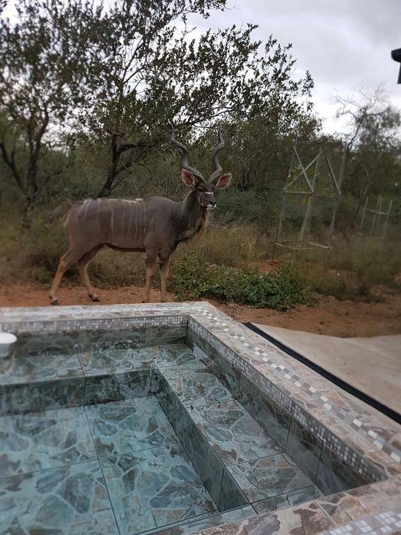 Lion King Villa Marloth Park Buitenkant foto
